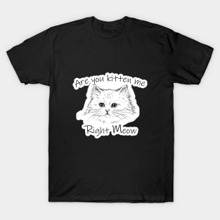 Are you kitten me right meow Gift Saint Valentin 2021 NOW T-Shirt